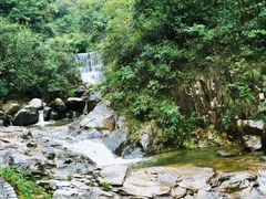 -大奇山国家森林公园