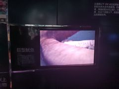 -同济大学四平路校区深海探索馆