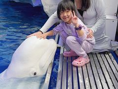 -秦皇岛乐岛海洋王国