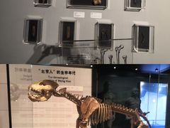 -北京周口店北京人遗址博物馆