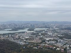 -紫金山山顶公园