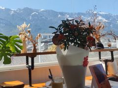 -唐咖精品咖啡(大理古城手冲店)