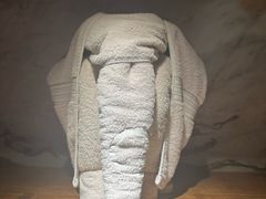 -浅深(北京北四环精品店)
