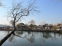 -无锡蠡湖国家湿地公园-蠡园