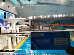 -重庆市奥林匹克体育中心-游泳跳水馆