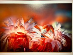 -罗红摄影艺术馆