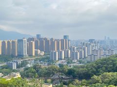 -金鸡山公园