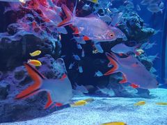 -成都浩海立方海洋公园