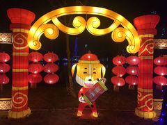 -祥源·阜阳生态乐园