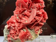 -湖南省地质博物馆