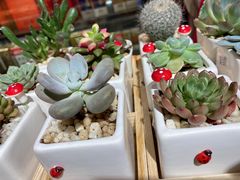-Olé精品超市(上海虹桥南丰城店)