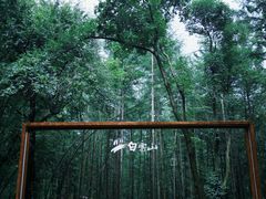 -洛阳白云山景区