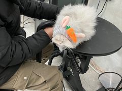 -萌小它宠物健康管理中心(怡海家园店)