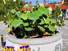 -丰台花园