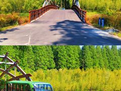 -黄海国家森林公园