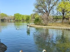 -洛阳市隋唐城遗址植物园