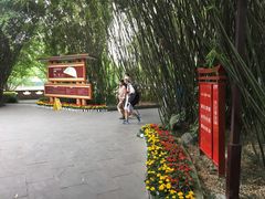 -望江楼公园