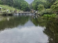 -广州市石门国家森林公园