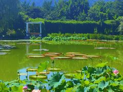 -国家植物园南园