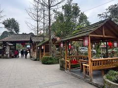 -青城甲(青城山店)