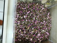 -大润发(花雨店)