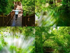 -江苏三台山国家森林公园