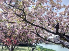 -东钱湖旅游度假区