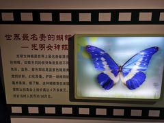 -上海昆虫博物馆
