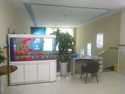 -成都军建医院·疤痕诊疗中心