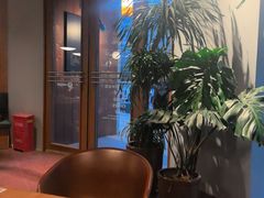 -Wagas沃歌斯(枫蓝国际店)