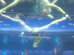 -瑞德姆美人鱼海底演艺主题餐厅(亚龙湾店)