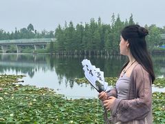 -白鹭湾湿地公园