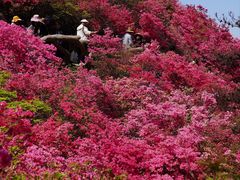 -木兰云雾山