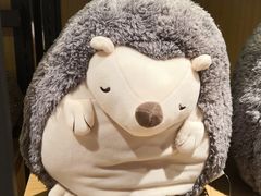-九木杂物社(大东方百货店)