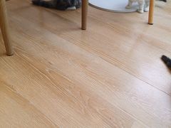 -猫咪派对(江南西店)