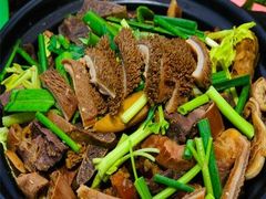 -武汉世外桃源农庄