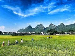 -万峰林风景区