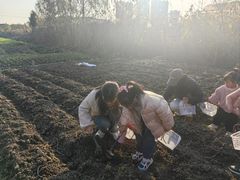 -百翠山居.家飨餐厅