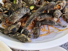 -星龙海鲜(望江东路店)