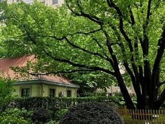 -徐家汇源景区-衡山公园