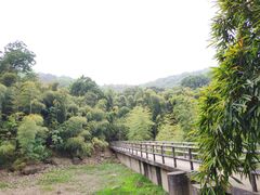 -宝界山林公园