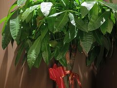 -长湘居(数码大厦店)