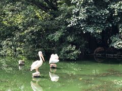-广州动物园