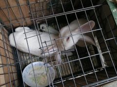 android_upload_pic-艾豪森酒店(西安北大街地铁站店)