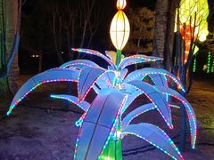 -南宫五洲植物乐园