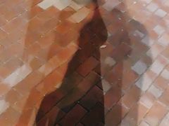 -上海神旺大酒店