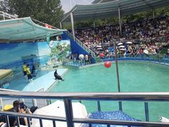 -西安秦岭野生动物园