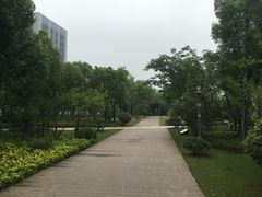 -南翔镇银翔湖公园