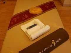 -臻江南影院式足道(雅安店)