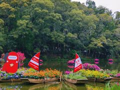 -深圳仙湖植物园